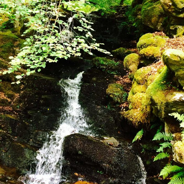 Fernbank House Guest House Aberfeldy Perthshire Scotland