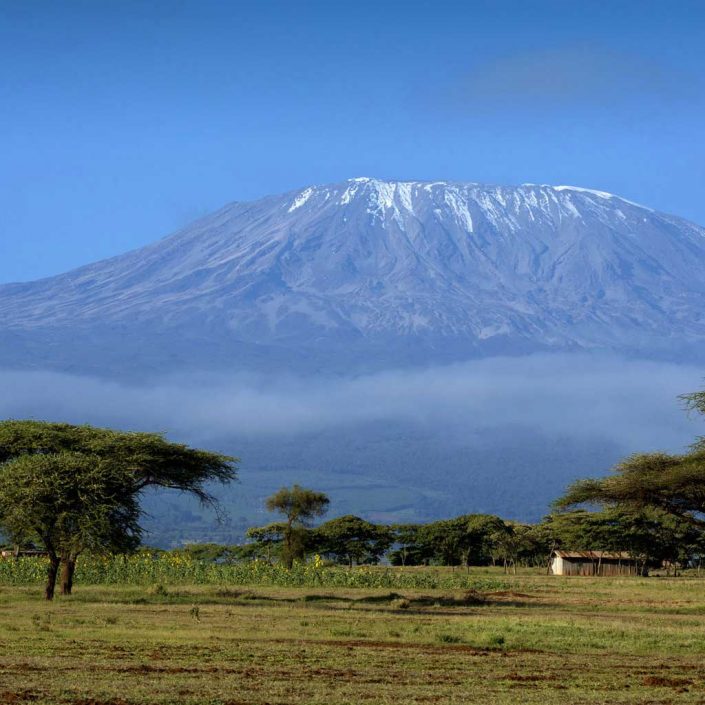 Fernbank House Tina Logan Yoga Classes and Instruction in Highland Perthshire